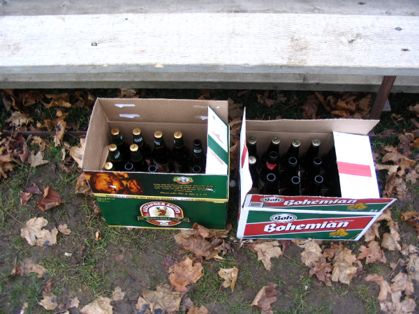 4384-bmtfl-field-000-nov18-2006