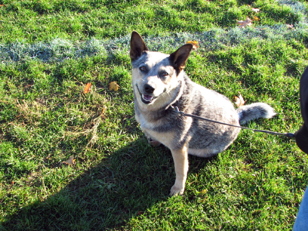 7875-BMTFL-000-oct21-2007