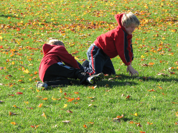 7951-BMTFL-000-oct21-2007