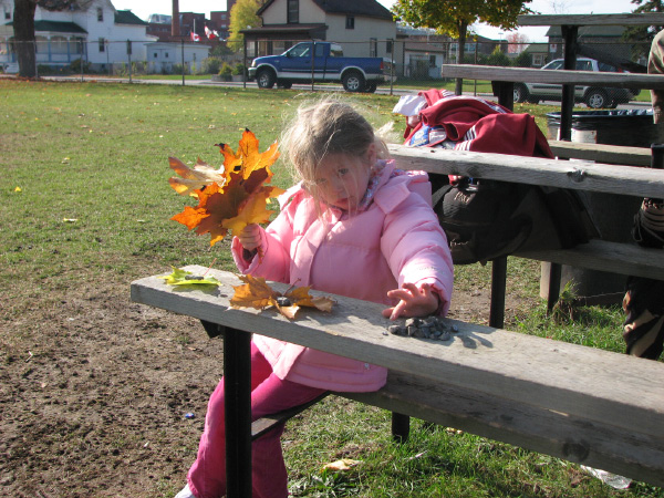 6205-BMTFL-Freedom55-VS-Bombers-000-oct26-2008