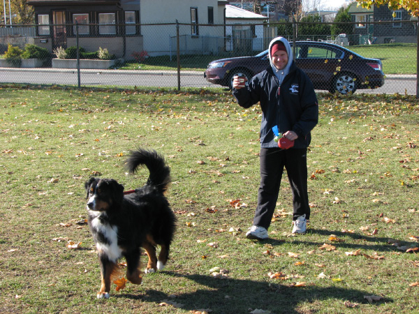 6488-BMTFL-KeyStorm-Irish-VS-Bombers-000-nov02-2008